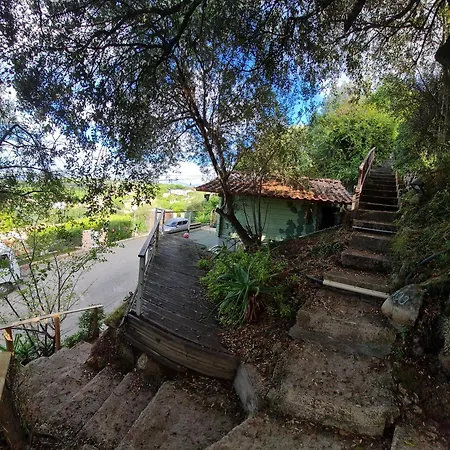 La Viva Appartamento